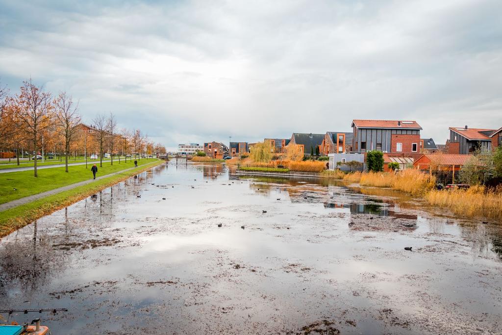 KANSEN Input Dat hemelwater moeten we afkoppelen, dan