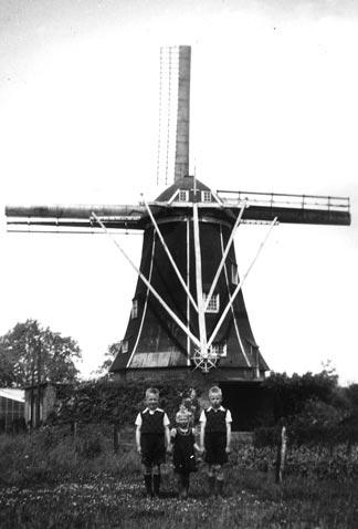 De economische groei van de molen Bataaf 1) De molen Bataaf is in 1937 gerestaureerd. Tot 1956 is met deze molen gemalen.