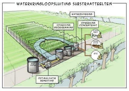 De partners in het project Glastuinbouw Waterproof Substraat hebben in de periode mei 2010 - oktober 2012 oplossingen (door)ontwikkeld voor het voorkomen van emissies van nutriënten en