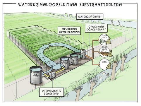 1 Inleiding Het project Glastuinbouw Waterproof substraat heeft als doel het reduceren en voorkomen van emissies van nitraat, fosfaat en gewasbeschermingsmiddelen uit substraatteelten in de