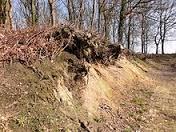 6 't Bergje Zwerfkeien in de Zandkoele In Heetveld bevindt zich het geologisch monument de Zandkoele.