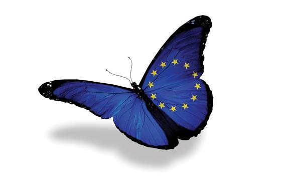 Overzicht Grondrechten en privaatrecht Technieken Doorwerking van EU-grondrechten in