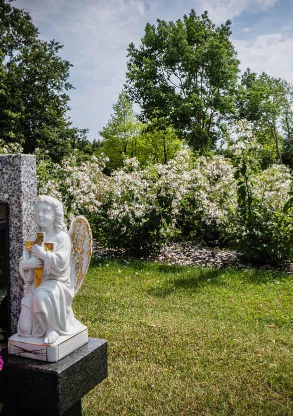 ONDERHOUD EN RICHTLIJNEN Onderhoud en herstel De familie of nabestaanden staan in voor het onderhoud van graven, aangebrachte beplantingen en afboordingen.