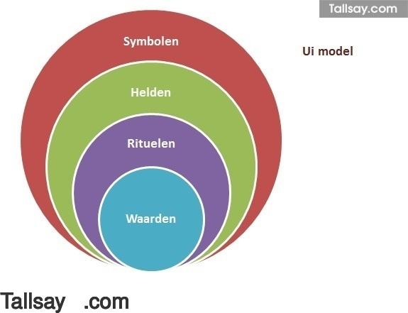 Cultuurverschillen doen zich voor in vier verschillende aspecten van cultuur: symbolen, helden, rituelen en waarden. Dit is afgebeeld in het ui diagram hiernaast.