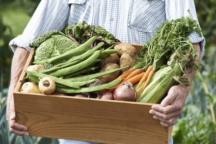 INFRASTRUCTUUR De landbouw in Dordrecht is in 2030 een sterke sector met een gezond rendement. Boeren telen voedsel met een hoge voedingswaarde en kwaliteit.