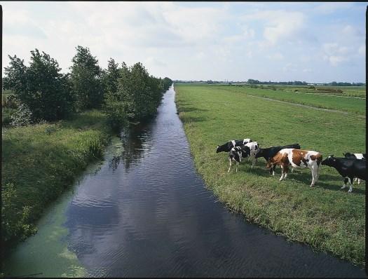 LANDBOUWVISIE EILAND VAN DORDRECHT 7 BODEM EN WATER Dordrecht wordt omringd door waterwegen: De Dordtsche Kil, Oude Maas, Beneden Merwede, Nieuwe Merwede en Hollands Diep.