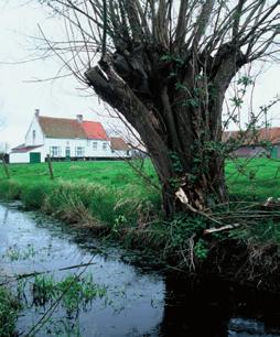 ruimtelijke uitvoeringsplannen.