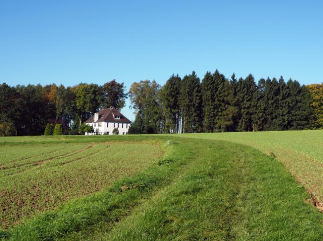 Dieper het bos in volgt een afsplitsing naar rechts die we negeren, we houden links aan waarna het nog steiler wordt en we doorklimmen tot we het bos weer verlaten.