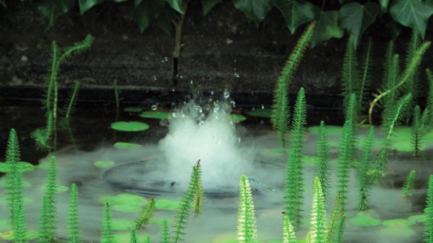 INNOVATIVE AND DECORATIVE POND PRODUCTS FOR