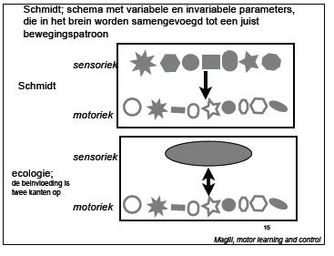 5 Motor learning 5.