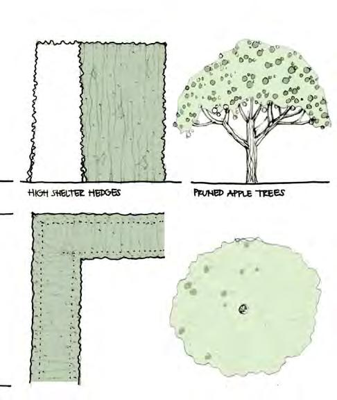 bomen en voorziet het aanplanten van