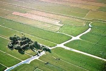 Vraag 5 Water en polders Midden-Delfland is een waterrijk gebied, net als andere delen van Nederland. Lang geleden werd er al geprobeerd om gebieden droog te malen en er polders van te maken.