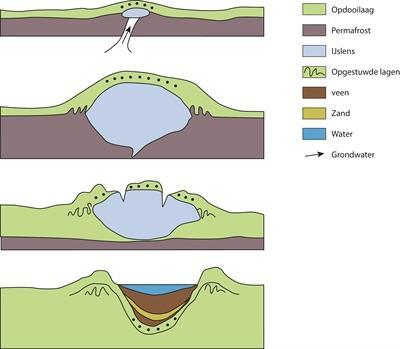 3. Pingoruïnes in het kort Deze relatief kleine landschapselementen werden gevormd als pingo s, dit zijn kleine ijsheuvels. De naam komt uit het Inuit en betekent, heuvel die groeit.