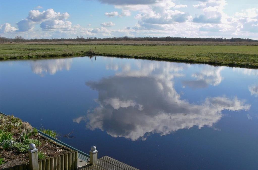 Ligging en indeling Tuin De mooi onderhouden tuin ligt rondom de woning en grenst aan een waterpartij en het natuurgebied de Weerribben. Er is een tuinhuis en een houtopslag aanwezig.