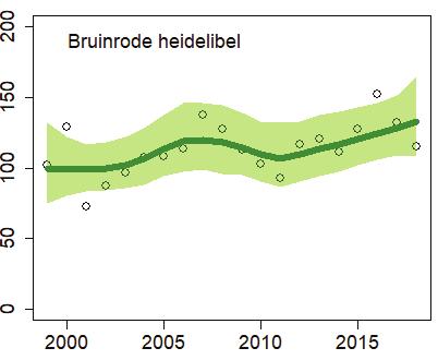 Steenrode heidelibel neemt juist af, mogelijk door concurrentie met de meer zuidelijke bruinrode heidelibel.