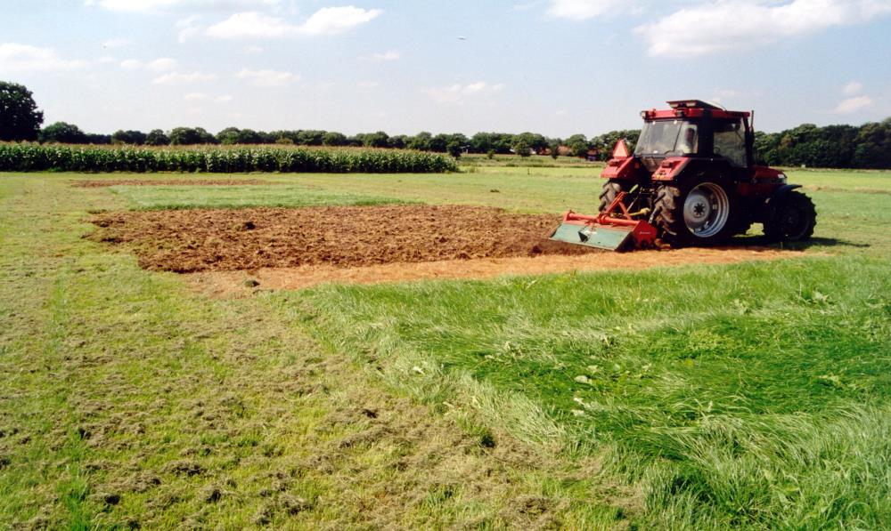 de verhouding tussen stikstof en fosfaat in het gras. De N : P 2O 5 verhouding in gras is ongeveer 1 : 0,4.