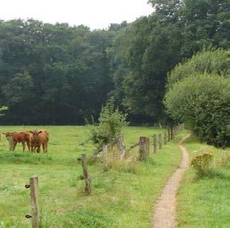 Of genieten van een lekkere lunch met zeer aantrekkelijke omgeving met veel groen en water. je hier goed!