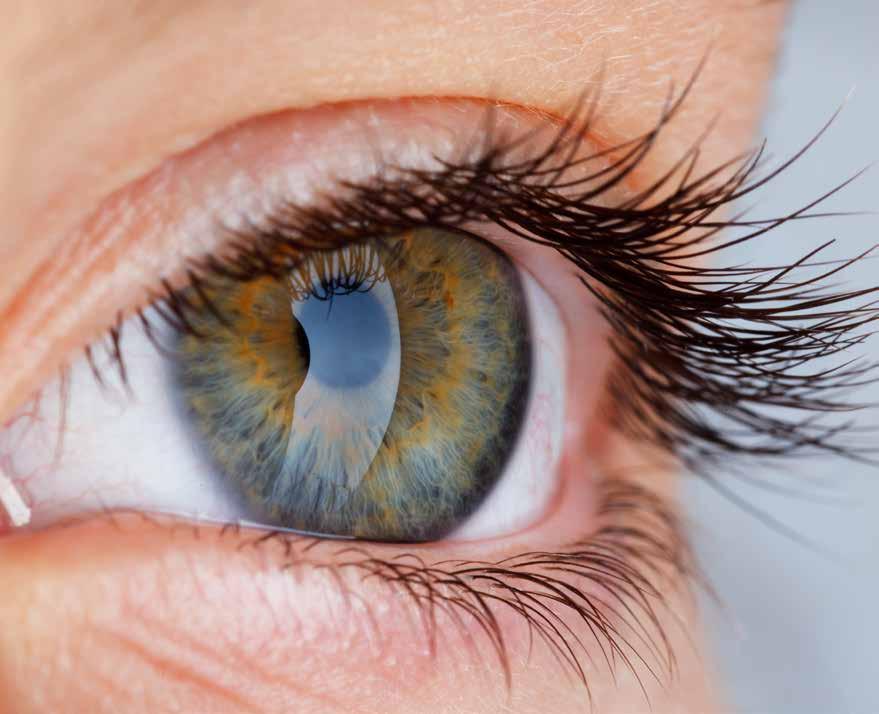 Symptomen Diagnose Minder scherp zien Dit is een belangrijk symptoom van diabetische retinopathie. Beelden kunnen vaak wazig worden of vervormen en kleuren minder helder.
