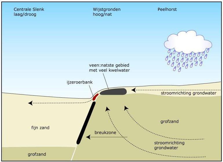 Op de hoogtekaart (figuur 2) van projectgebied valt op dat er een duidelijk verschil is in een hoog (droger) en laag (natter) deel.