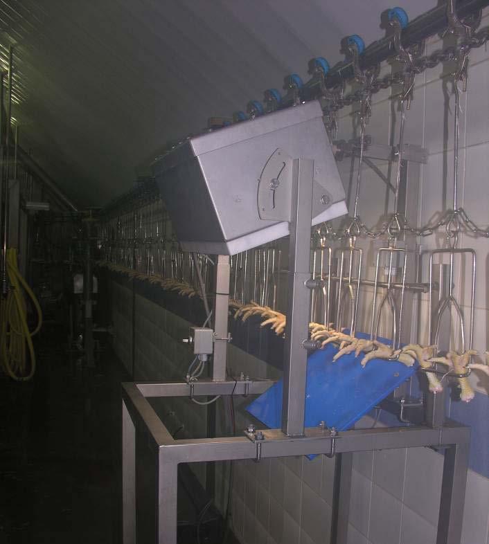 Bij slachterij 3 werd het camerasysteem geplaatst in de slachtruimte, naast de plukkers (zie figuur 6).