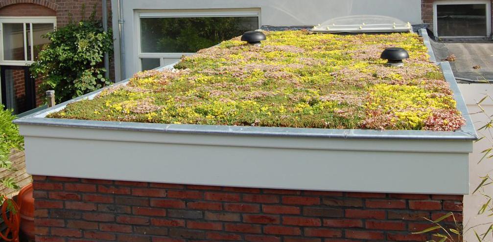 Sedumdak 123- lichtgewicht Een tuin op uw dak, dat klinkt een beetje raar, maar het is juist heel slim