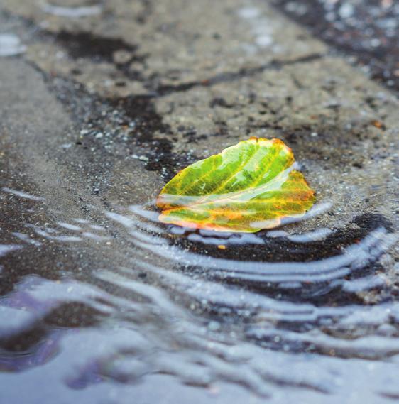 Het gaat om de recente buien top 3, waaronder de neerslaggebeurtenis in Herwijnen. Hier viel op 28 juni 2011 89 mm regen in een uur tijd.