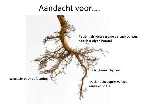 2. Ons verhaal Onderzoek en partnerships met expatiënten als bouwstof (Verkest, A.