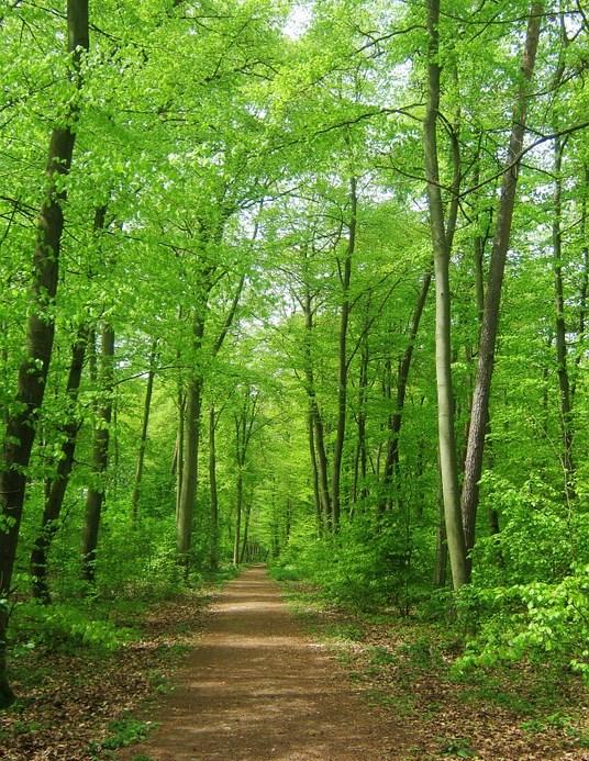 Bewoners Kasteelhof Deelname gratis BLIK OP NATUUR In Blik op natuur vinden activiteiten