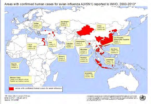 H5N1 vogelgriep 622 gevallen/371 doden 13