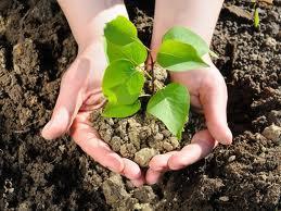 Inleiding Bij plantenfysiologie hebben we het onderwerp groeifactoren al besproken. Toen hebben we het al gehad over het onderwerp grond. In dit blok gaan we op dit onderwerp verder in.