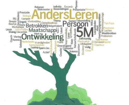 Onderzoeksvraag De oorspronkelijke onderzoeksvraag geformuleerd door 5M Op welke wijze kan het 5M concept wel in de bovenbouw aangeboden worden en is het toch haalbaar om een geschikt vakkenpakket