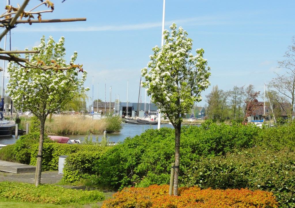 De bewoners van het park kunnen gratis gebruik maken van al deze faciliteiten. Verder is er een watersportwinkel met kleine supermarkt en een restaurant met uitzicht op de jachthaven.