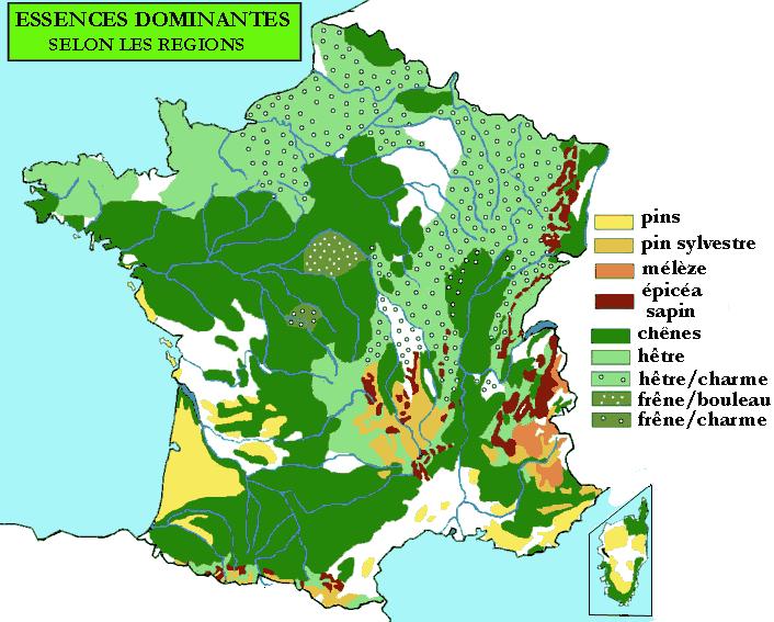 In Frankrijk worden wintereik en zomereik beide gebruikt door tonneliers. Deze beide soorten vertegenwoordigen de grootste oppervlakte van de Franse bossen.