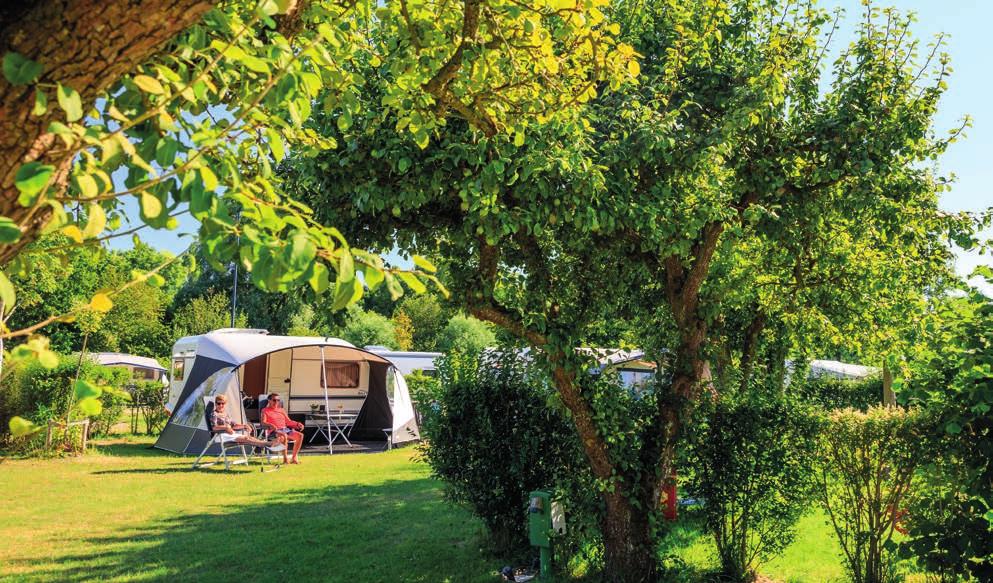 Outdoorlodge Mobile home Lavendel Vakantiegevoel gewoon iets huren Op Vakantiepark t Rheezerwold staan verschillende type