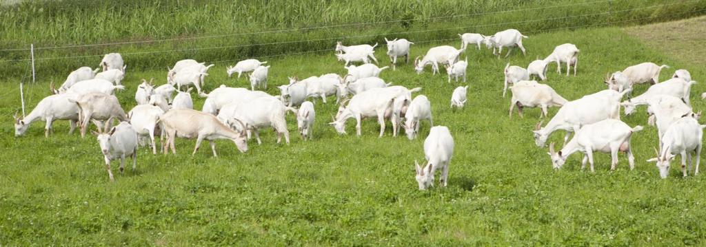 temperatuur Sloomheid / depressie Daling