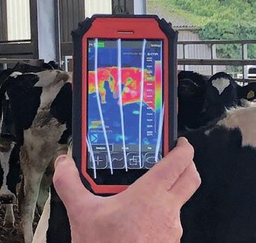 eerder wĳzen op een ander probleem. De nieuwste technologie leert op basis van feedback van de veehouder steeds beter begrĳpen wat er met een koe aan de hand is.