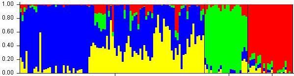 Belgisch Melkschaap Analyse populatiestructuur en vergelijking met