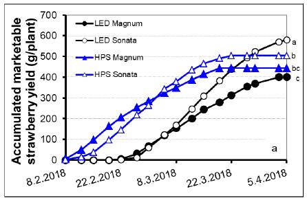 Agricultural University Ijsland Totaalproductie voor Sonata hoger bij LED, Magnum lagere productie Productiepatroon verschuift bij gelijke teeltcondities Aparte