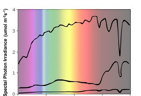 Lichtspectrum: Zon- en kunstlicht Lichtspectrum van zon,