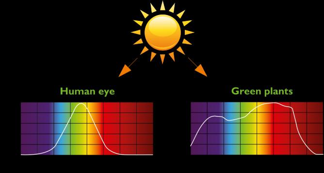 Begrippen in licht Intensiteit Watt: Zon-energie uitgedrukt in energieinhoud. 46 Watt/m 2 Lux; Lichtenergie uitgedrukt in oog-gevoeligheid 7.