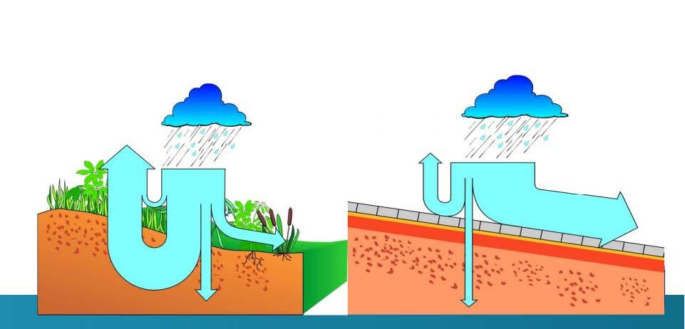 Effect van verharding op het watersysteem Minder water