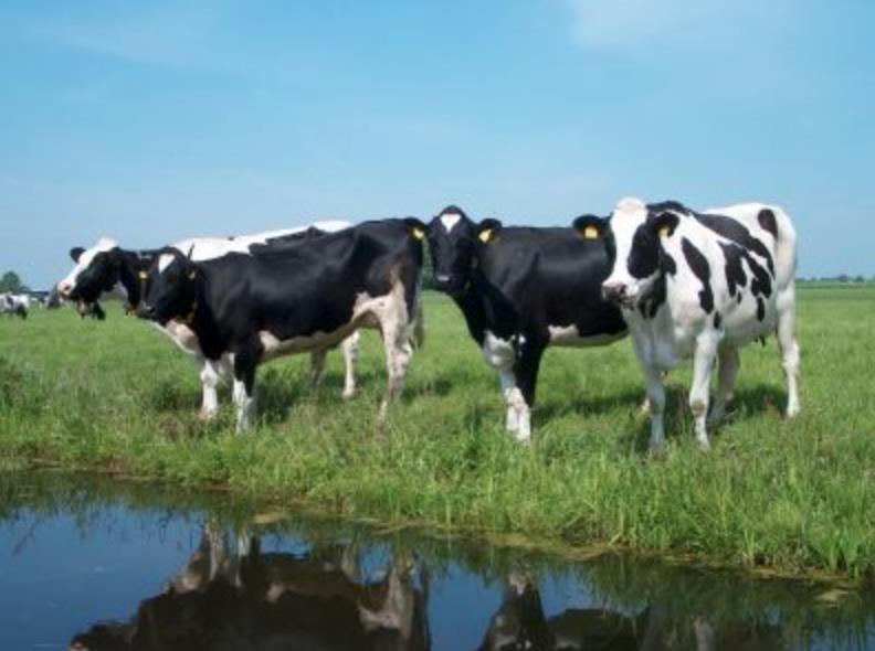 IPV: duurzaam boeren met behoud van veen?