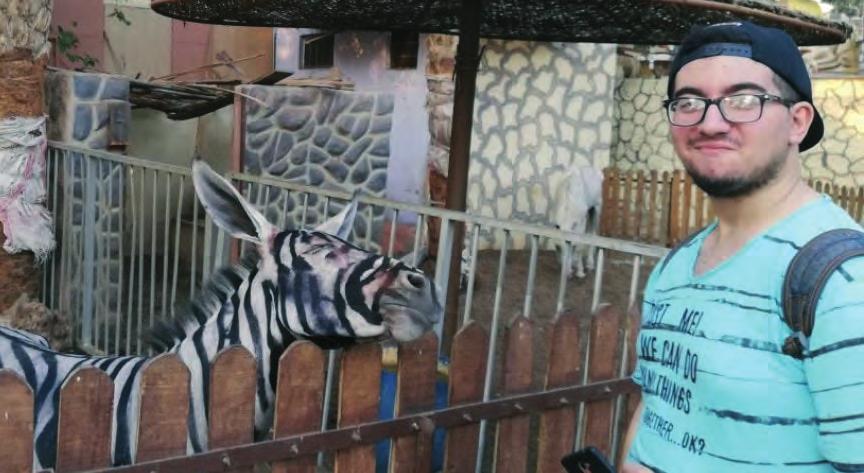 De jongeman was op bezoek in een dierentuin in Caïro en vond deze zebra verdacht veel lijken op een (geverfde) ezel.