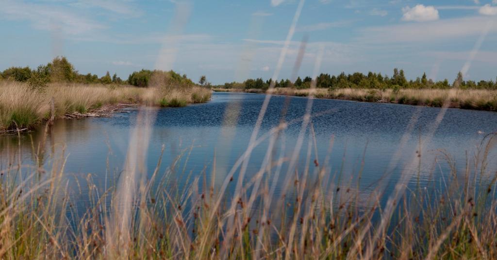 5 Engbertdijksvenen Engbertdijksvenen De Engbertsdijksvenen is een rijksnatuurmonument van ongeveer 1000 ha groot en wordt gerekend tot de internationale wetlands.