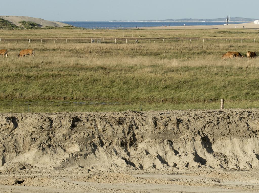 ZWIN IN VERANDERING 2019 GROTER + 120 HECTARE uitbreiding van 213 ha naar 333 ha Zwinmonding 2 x breder, van 200 m naar 400 m Zwingeul ruim 3 x breder, van 60 m naar 200 m 3 x meer zeewater (660.