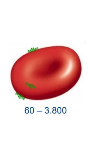 Kwantitatieve versus kwalitatieve