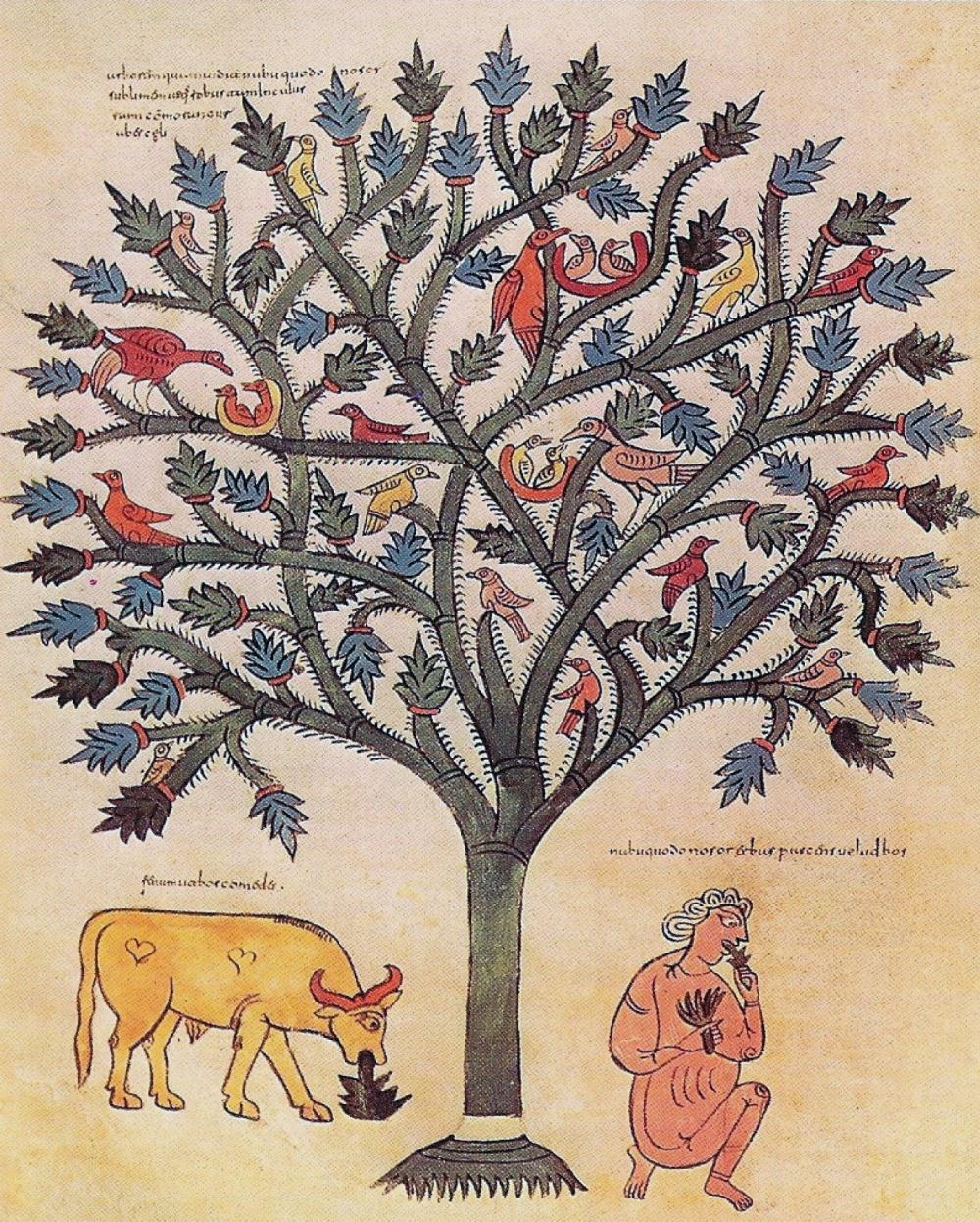 3. De droomboom van Nebukadnezar een boom die reikte tot aan de hemel de boom die voedsel bood aan allen in wiens takken de vogels nestelden op bevel van een wachter wordt de.