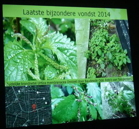 Vrijdag 13 maart 2015 Stinsenplantenwandeling Park de Braak, Amstelve