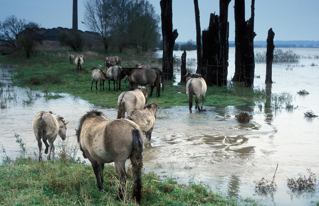 Omdat je voor GEZOND water kiest GEZOND OPTREDEN TEGEN VERVUILING Ons water raakt vervuild met allerlei schadelijke afvalstoffen van landbouw en industrie.