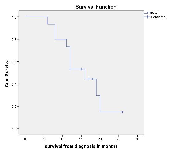 Overleving de ervaring in Amsterdam AMC - IMPALA VUmc - PANFIRE + FOLFIRINOX in all 15 Open IRE OS 16.0 maanden + FOLFIRINOX n=10 + gemcitabin n=3 + No chemo n=12 Percutane IRE OS 17.